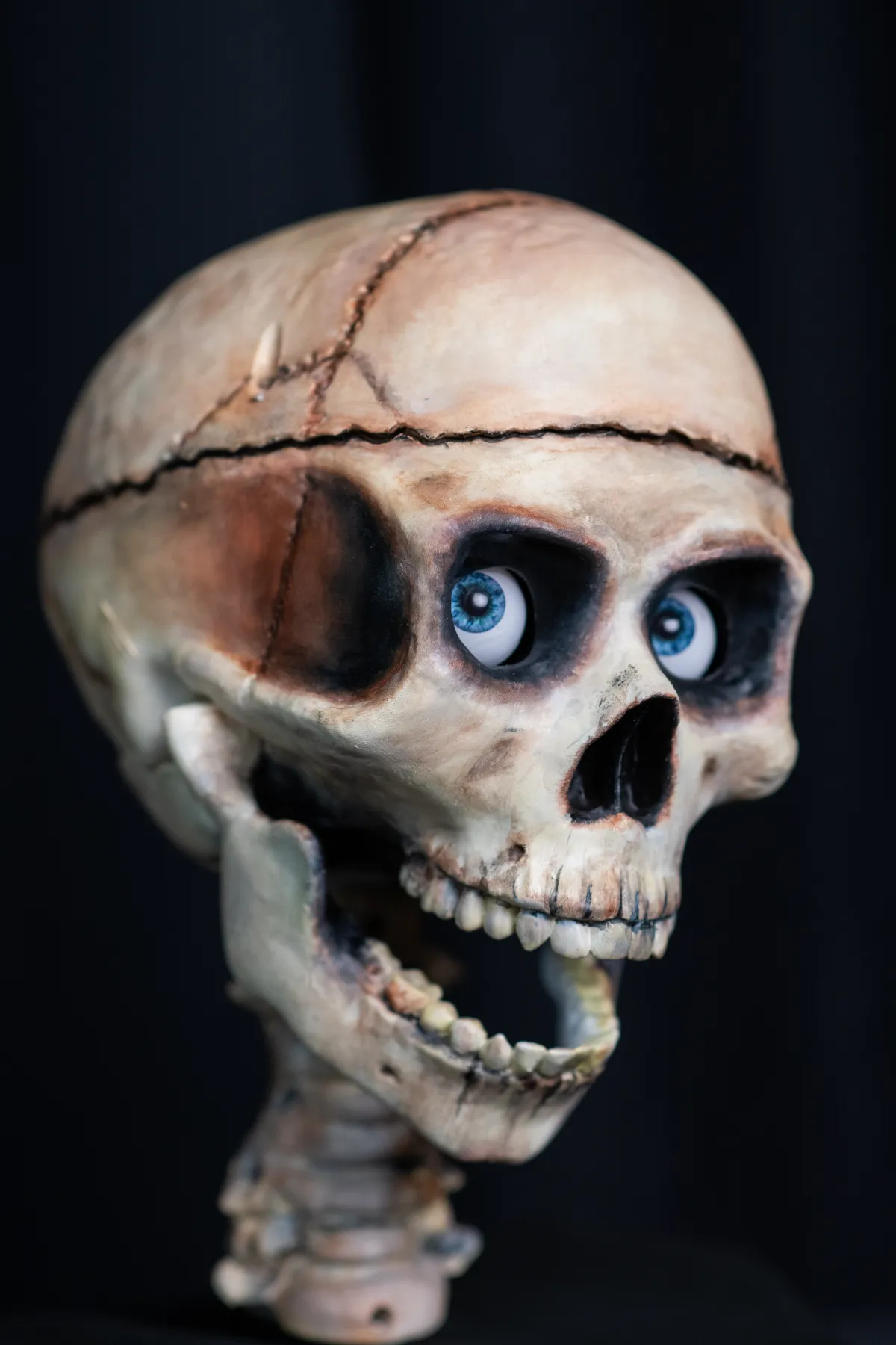SkullTronix Skull Pro animatronic product photo.