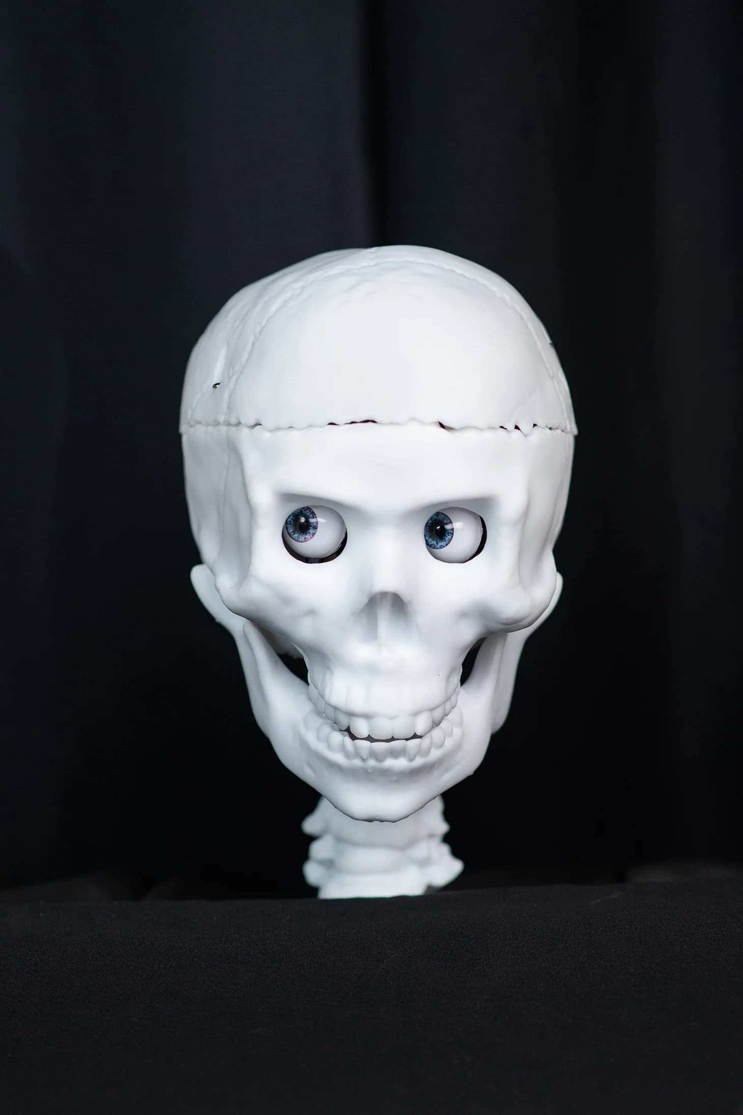 Alternate angle of the Trunk or Treat Skull.